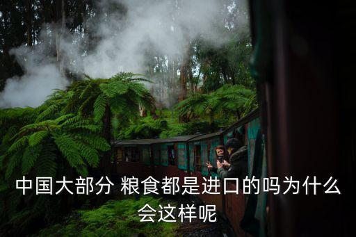 中國大部分 糧食都是進(jìn)口的嗎為什么會(huì)這樣呢