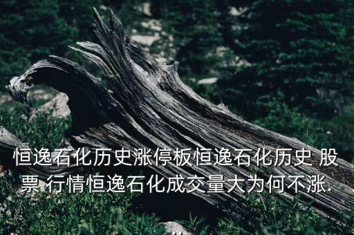 浙江龍騰股份股票行情,龍騰光電股票行情