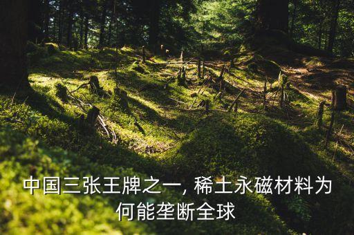 中國三張王牌之一, 稀土永磁材料為何能壟斷全球