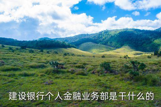  建設(shè)銀行個人金融業(yè)務(wù)部是干什么的