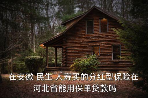 在安徽 民生 人壽買的分紅型保險在 河北省能用保單貸款嗎