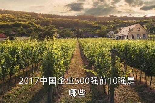 2017中國(guó)企業(yè)500強(qiáng)前10強(qiáng)是哪些