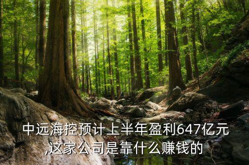  中遠(yuǎn)?？仡A(yù)計(jì)上半年盈利647億元,這家公司是靠什么賺錢的