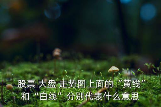 大盤股票走勢(shì)圖,股票大盤走勢(shì)圖下載哪個(gè)軟件