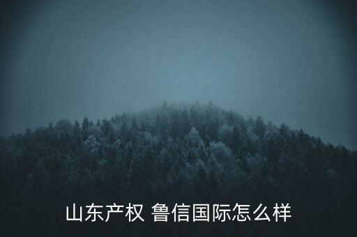 山東產權 魯信國際怎么樣