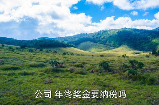 公司 年終獎金要納稅嗎