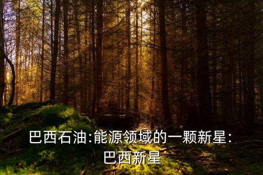 中國巴西投資咨詢,在巴西投資的中國企業(yè)
