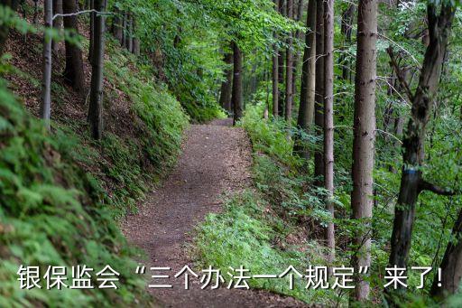 商業(yè)銀行精細化管理措施,學校精細化管理的思路與措施