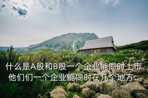 什么是A股和B股一個(gè)企業(yè)能同時(shí)上市他們們一個(gè)企業(yè)能同時(shí)在幾個(gè)地方...