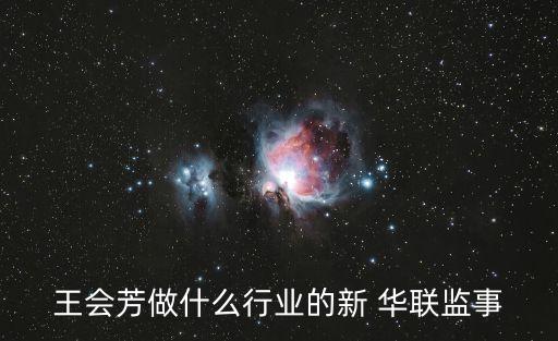 新華聯(lián)集團財務(wù)公司