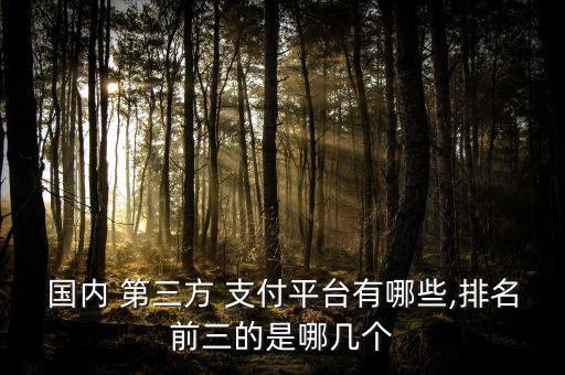 第三方支付公司有幾家,中國(guó)有多少家第三方支付公司