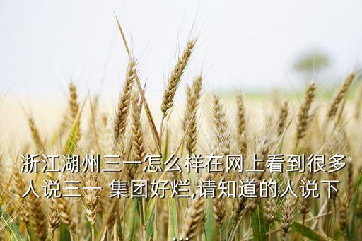  浙江湖州三一怎么樣在網(wǎng)上看到很多人說三一 集團(tuán)好爛,請知道的人說下...