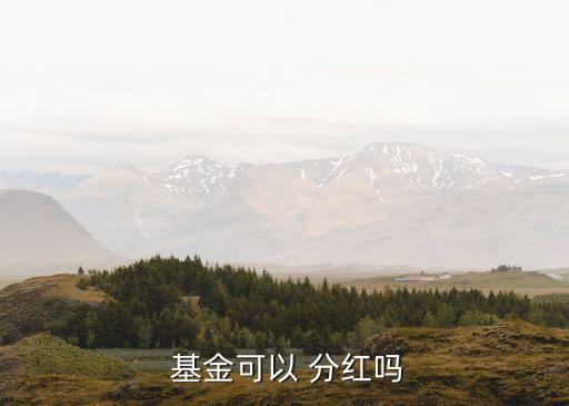 基金什么情況下會分紅,一只基金什么情況才會結(jié)束