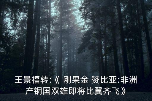 金川集團(tuán)公司工程建設(shè)公司剛果金
