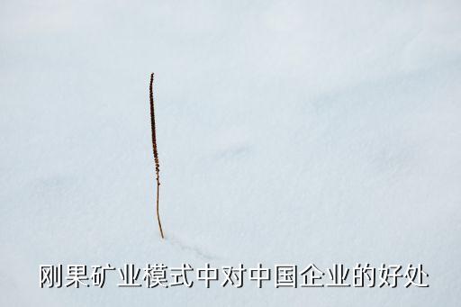  剛果礦業(yè)模式中對中國企業(yè)的好處