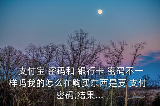 支付寶付款不是用銀行的密碼,銀行流水有支付寶付款明細(xì)嗎