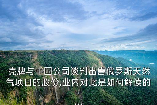  殼牌與中國公司談判出售俄羅斯天然氣項目的股份,業(yè)內(nèi)對此是如何解讀的...
