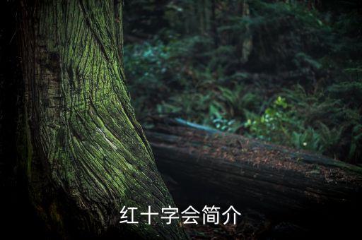 紅十字會(huì)簡(jiǎn)介