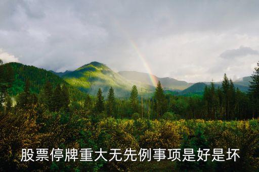  股票停牌重大無先例事項是好是壞