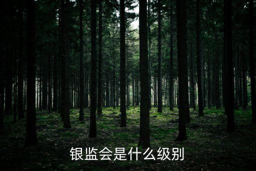銀監(jiān)會(huì)是什么級(jí)別