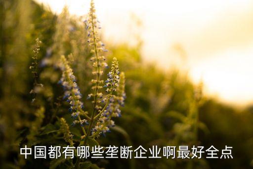 中國華孚貿(mào)易發(fā)展集團公司