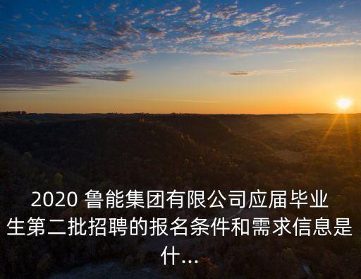 2020 魯能集團有限公司應(yīng)屆畢業(yè)生第二批招聘的報名條件和需求信息是什...