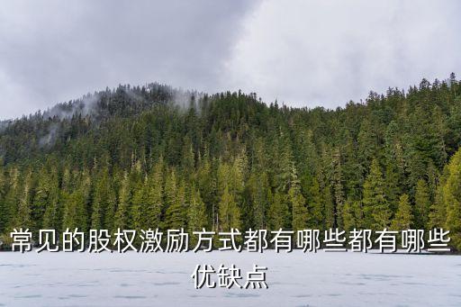 常見的股權(quán)激勵(lì)方式都有哪些都有哪些優(yōu)缺點(diǎn)