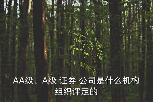 AA級(jí)、A級(jí) 證券 公司是什么機(jī)構(gòu)組織評(píng)定的