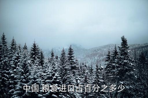 中國 糧食進(jìn)口占百分之多少