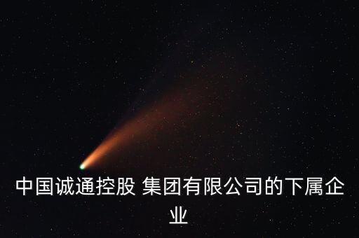 中國誠通控股 集團有限公司的下屬企業(yè)