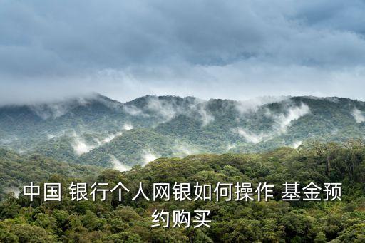 中國 銀行個人網(wǎng)銀如何操作 基金預(yù)約購買