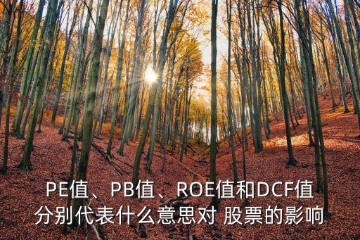 PE值、PB值、ROE值和DCF值分別代表什么意思對 股票的影響