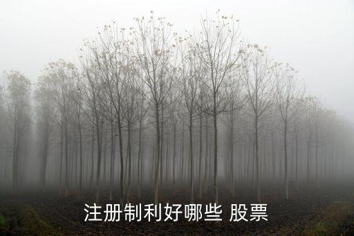 注冊(cè)制利好哪些 股票