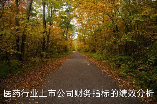 醫(yī)藥行業(yè)上市公司財(cái)務(wù)指標(biāo)的績(jī)效分析