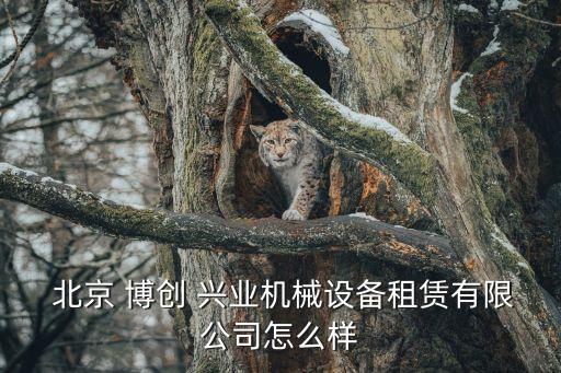 北京博創(chuàng)興業(yè)怎么樣,北京興業(yè)科技電子廠(chǎng)怎么樣