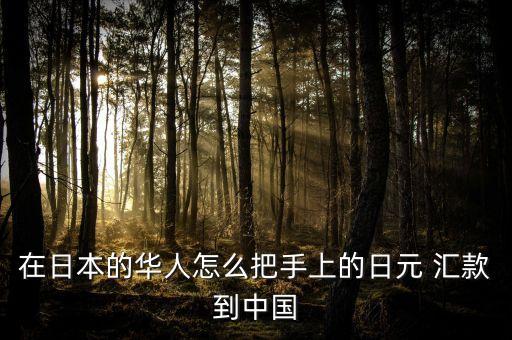 東京中國(guó)工商銀行匯款,中國(guó)工商銀行境內(nèi)匯款是什么意思