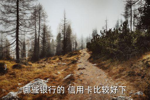 哪些銀行的 信用卡比較好下