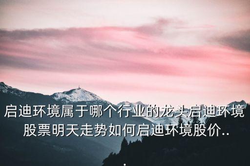 啟迪環(huán)境屬于哪個行業(yè)的龍頭啟迪環(huán)境 股票明天走勢如何啟迪環(huán)境股價...