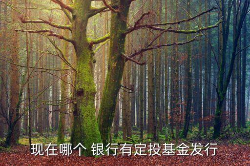 現(xiàn)在哪個 銀行有定投基金發(fā)行