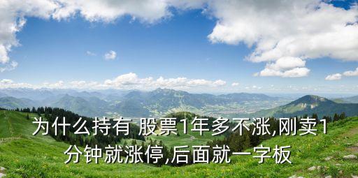 為什么持有 股票1年多不漲,剛賣(mài)1分鐘就漲停,后面就一字板