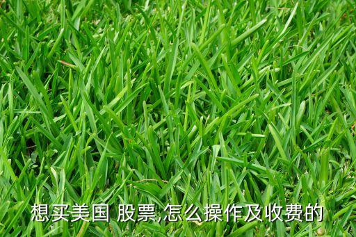 想買美國 股票,怎么操作及收費(fèi)的
