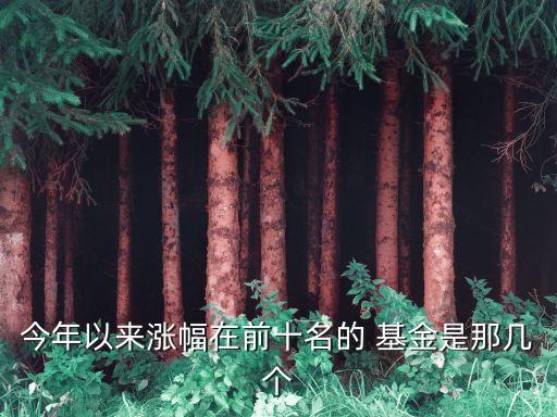 今年以來漲幅在前十名的 基金是那幾個