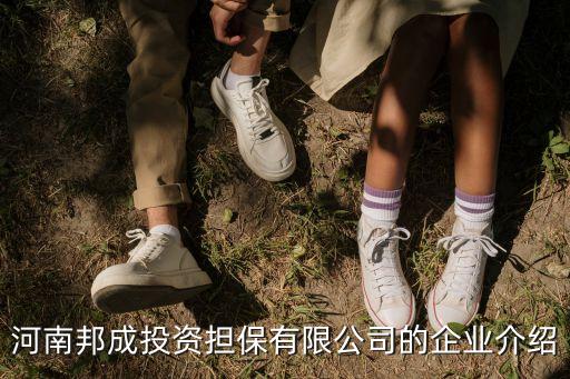 河南邦成投資擔(dān)保有限公司的企業(yè)介紹