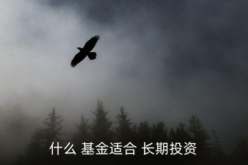 適合長期持有的基金,適合窮人理財(cái)方法