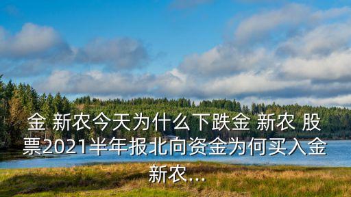 金 新農(nóng)今天為什么下跌金 新農(nóng) 股票2021半年報(bào)北向資金為何買入金 新農(nóng)...
