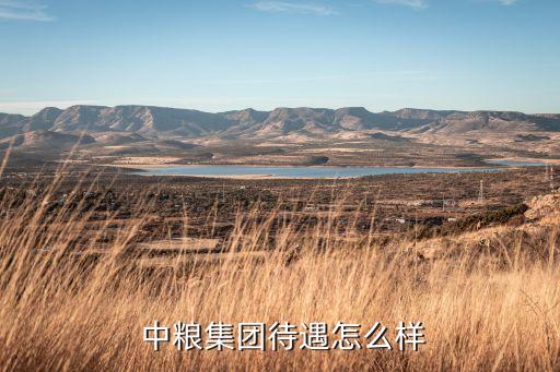  中糧集團待遇怎么樣