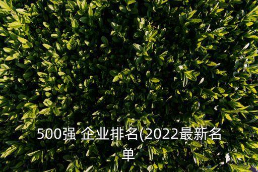 500強 企業(yè)排名(2022最新名單