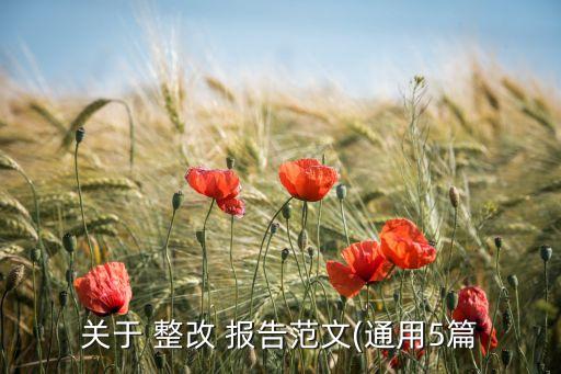公司網(wǎng)站整改報(bào)告,年報(bào)、公司報(bào)告及公司網(wǎng)站