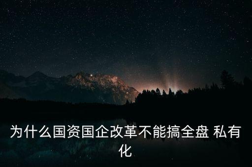 為什么國(guó)資國(guó)企改革不能搞全盤(pán) 私有化