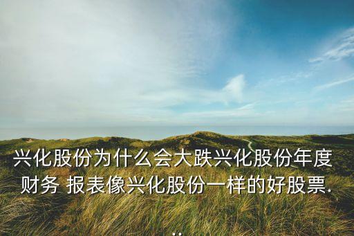 興化股份為什么會大跌興化股份年度 財務 報表像興化股份一樣的好股票...